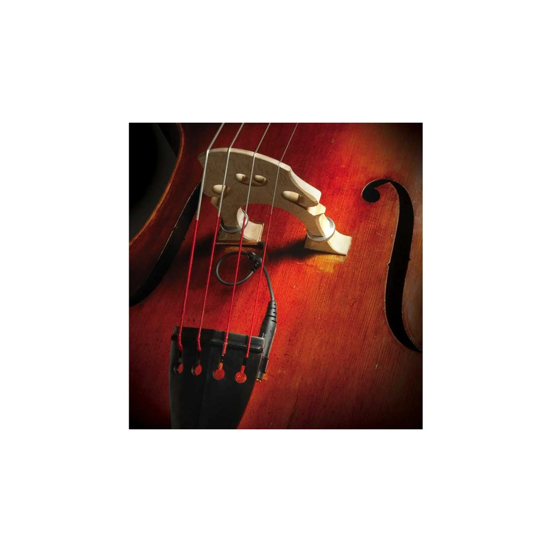The Realist- Copperhead, Upright Bass Pickup